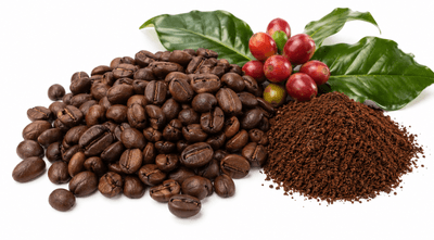 Specialty roastery shelf with brown kraft 3-side seal coffee pouches in graduated sizes